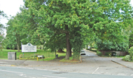 Driveway to Oatlands Park Hotel