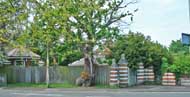 old gate posts