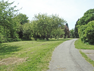 Hillfield Park