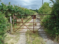 lane to smallpox hospital