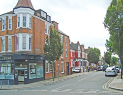 Site of Roseneath Voluntary Hospital