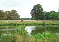 Richmond Park