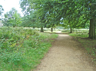 Richmond Park