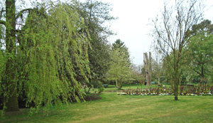 Norman Leddy Memorial Gardens