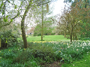 Norman Leddy Memorial Gardens