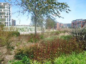 Site of Woolwich Parochial Almshouses